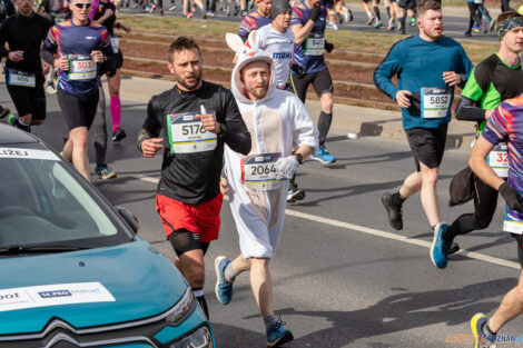 14. PKO Poznań Półmaraton  Foto: lepszyPOZNAN.pl/Piotr Rychter