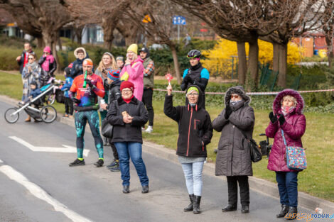 14. PKO Poznań Półmaraton  Foto: lepszyPOZNAN.pl/Piotr Rychter