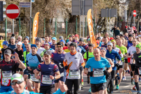 14. PKO Poznań Półmaraton  Foto: lepszyPOZNAN.pl/Piotr Rychter