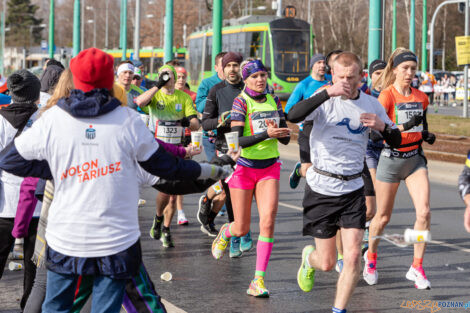 14. PKO Poznań Półmaraton  Foto: lepszyPOZNAN.pl/Piotr Rychter