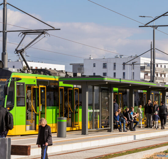 Tramwaj na Naramowice, Bimba - przystanek Błażeja Foto: lepszyPOZNAN.pl/Piotr Rychter Tramwaj na Naramowice, Bimba - przystanek Błażeja Foto: lepszyPOZNAN.pl/Piotr Rychter
