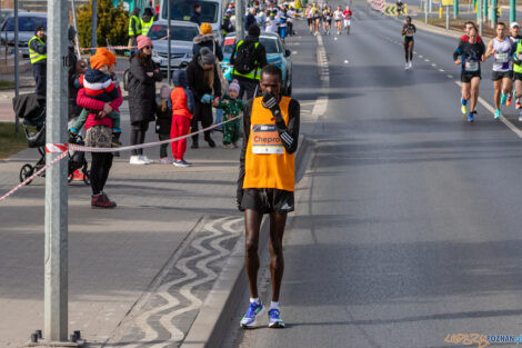 14. PKO Poznań Półmaraton  Foto: lepszyPOZNAN.pl/Piotr Rychter