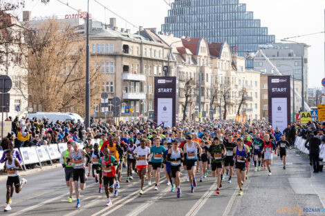 14. PKO Poznań Półmaraton  Foto: lepszyPOZNAN.pl/Piotr Rychter