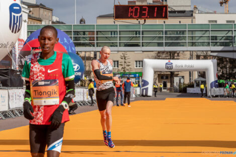 14. PKO Poznań Półmaraton  Foto: lepszyPOZNAN.pl/Piotr Rychter