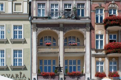 Stary Rynek_75 2013 Petroniusz Fotopolska  Foto: Petroniusz Fotopolska