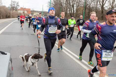 14. PKO Poznań Półmaraton  Foto: lepszyPOZNAN.PL/Piotr Rychter