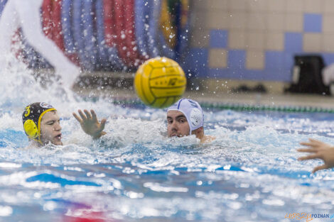 Box Logistics Waterpolo Poznań - WTS Polonia Bytom - 21.05.2022  Foto: lepszyPOZNAN.pl/Ewelina Jaśkowiak