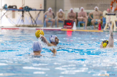 Box Logistics Waterpolo Poznań - WTS Polonia Bytom - 21.05.2022  Foto: lepszyPOZNAN.pl/Ewelina Jaśkowiak