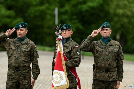 77. rocznica zakończenia II Wojny Światowej  Foto: materiały prasowe / UMP