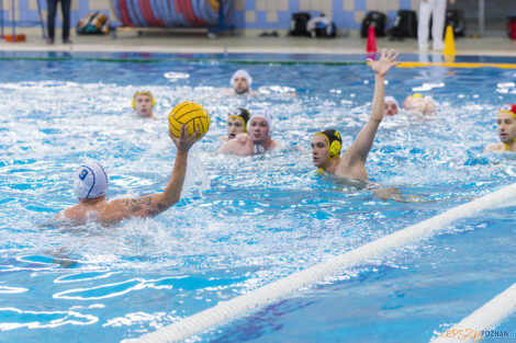 Box Logistics Waterpolo Poznań - WTS Polonia Bytom - 21.05.2022  Foto: lepszyPOZNAN.pl/Ewelina Jaśkowiak