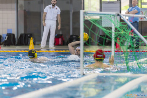 Box Logistics Waterpolo Poznań - WTS Polonia Bytom - 21.05.2022  Foto: lepszyPOZNAN.pl/Ewelina Jaśkowiak