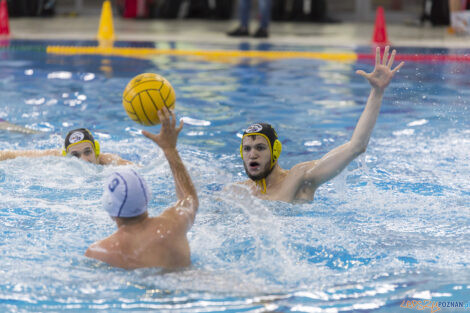 Box Logistics Waterpolo Poznań - WTS Polonia Bytom - 21.05.2022  Foto: lepszyPOZNAN.pl/Ewelina Jaśkowiak