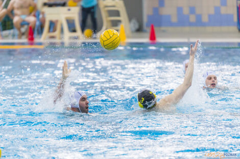 Box Logistics Waterpolo Poznań - WTS Polonia Bytom - 21.05.2022  Foto: lepszyPOZNAN.pl/Ewelina Jaśkowiak