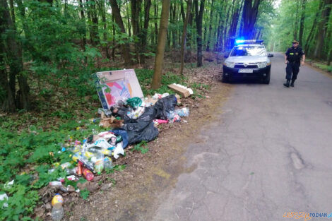Wrzesińska - śmieci w lesie  Foto: Straż Miejska 