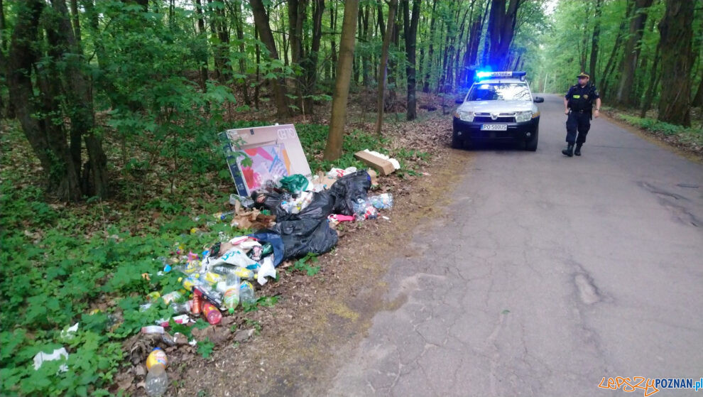 Wrzesińska - śmieci w lesie  Foto: Straż Miejska 