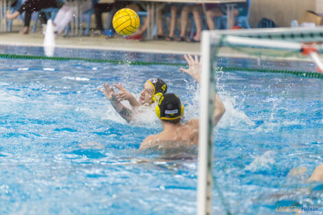 Box Logistics Waterpolo Poznań - WTS Polonia Bytom - 21.05.2022  Foto: lepszyPOZNAN.pl/Ewelina Jaśkowiak