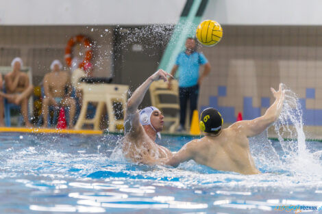 Box Logistics Waterpolo Poznań - WTS Polonia Bytom - 21.05.2022  Foto: lepszyPOZNAN.pl/Ewelina Jaśkowiak