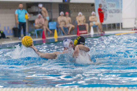 Box Logistics Waterpolo Poznań - WTS Polonia Bytom - 21.05.2022  Foto: lepszyPOZNAN.pl/Ewelina Jaśkowiak