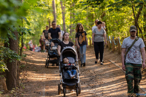 Noc marzeń w poznańskim zoo  Foto: lepszyPOZNAN.pl/Piotr Rychter