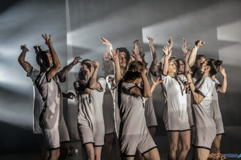 "KoczkodanSe" - Premiera spektaklu Polskiego Teatru Tańca - 01.  Foto: lepszyPOZNAN.pl/Ewelina Jaśkowiak