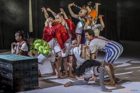 "KoczkodanSe" - Premiera spektaklu Polskiego Teatru Tańca - 01.  Foto: lepszyPOZNAN.pl/Ewelina Jaśkowiak