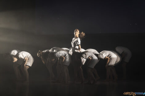 "KoczkodanSe" - Premiera spektaklu Polskiego Teatru Tańca - 01.  Foto: lepszyPOZNAN.pl/Ewelina Jaśkowiak