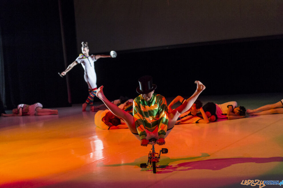 "KoczkodanSe" - Premiera spektaklu Polskiego Teatru Tańca - 01.  Foto: lepszyPOZNAN.pl/Ewelina Jaśkowiak