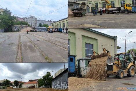 Lato na Madalinie  Foto: materiały prasowe