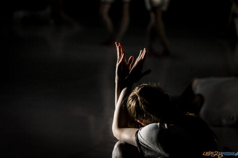 "KoczkodanSe" - Premiera spektaklu Polskiego Teatru Tańca - 01.  Foto: lepszyPOZNAN.pl/Ewelina Jaśkowiak