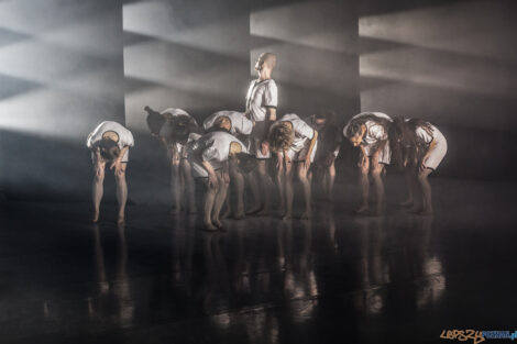 "KoczkodanSe" - Premiera spektaklu Polskiego Teatru Tańca - 01.  Foto: lepszyPOZNAN.pl/Ewelina Jaśkowiak