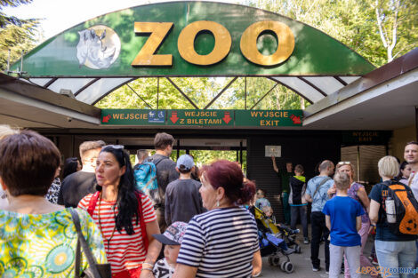 Noc marzeń w poznańskim zoo  Foto: lepszyPOZNAN.pl/Piotr Rychter