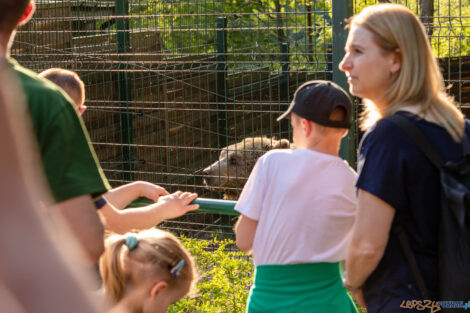 Noc marzeń w poznańskim zoo  Foto: lepszyPOZNAN.pl/Piotr Rychter