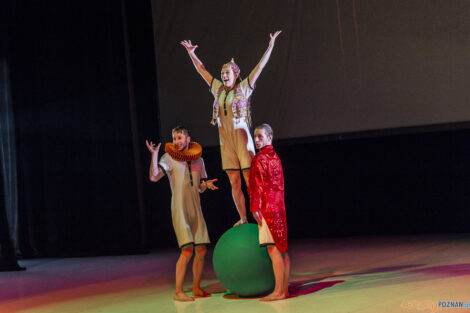 "KoczkodanSe" - Premiera spektaklu Polskiego Teatru Tańca - 01.  Foto: lepszyPOZNAN.pl/Ewelina Jaśkowiak