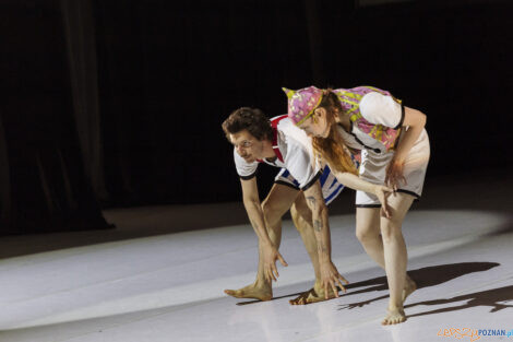 "KoczkodanSe" - Premiera spektaklu Polskiego Teatru Tańca - 01.  Foto: lepszyPOZNAN.pl/Ewelina Jaśkowiak