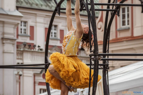 Malta Festival Poznań 2022 - C’est La… Wheel! - Plac Kolegi  Foto: lepszyPOZNAN.pl/Ewelina Jaśkowiak