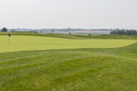 Pole golfowe Tarnowo Podgórne  Foto: materiały prasowe