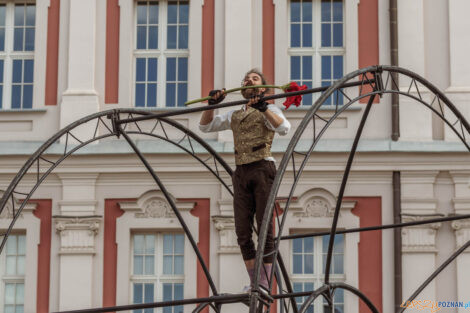 Malta Festival Poznań 2022 - C’est La… Wheel! - Plac Kolegi  Foto: lepszyPOZNAN.pl/Ewelina Jaśkowiak