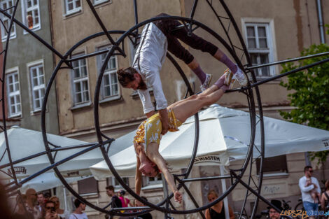 Malta Festival Poznań 2022 - C’est La… Wheel! - Plac Kolegi  Foto: lepszyPOZNAN.pl/Ewelina Jaśkowiak