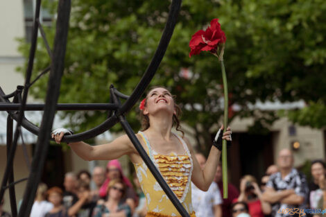 Malta Festival Poznań 2022 - C’est La… Wheel! - Plac Kolegi  Foto: lepszyPOZNAN.pl/Ewelina Jaśkowiak