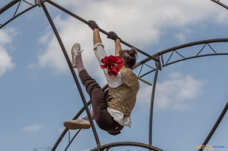 Malta Festival Poznań 2022 - C’est La… Wheel! - Plac Kolegi  Foto: lepszyPOZNAN.pl/Ewelina Jaśkowiak