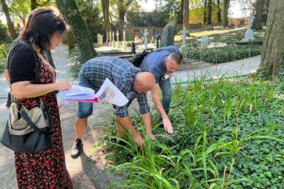 Cmentarz Zasłużonych Wielkopolan  Foto: Zarząd Zieleni Miejskiej / materiały prasowe