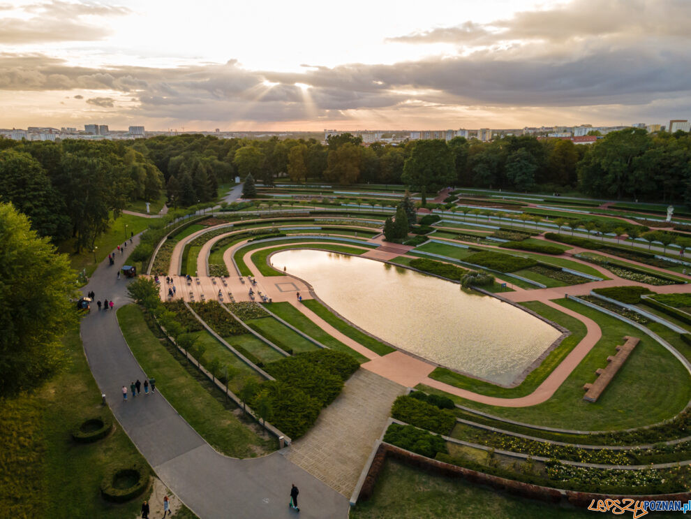 Cytadela, rosarium  Foto: lepszyPOZNAN.pl/Piotr Rychter