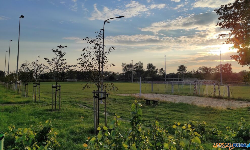 Nowe oświetlenie nad stadionem w Konarzewie  Foto: Gmina Dopiewo / MJ