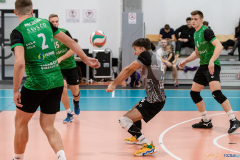 Tarnovia Volleyball - UKS Szamotulanin Szamotuły  Foto: lepszyPOZNAN.pl/Piotr Rychter