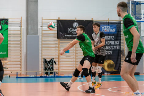 Tarnovia Volleyball - UKS Szamotulanin Szamotuły  Foto: lepszyPOZNAN.pl/Piotr Rychter