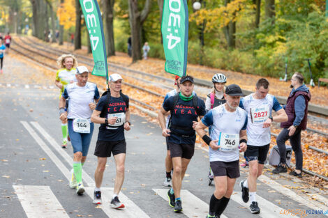 21. Poznań Maraton  Foto: lepszyPOZNAN.pl/Piotr Rychter