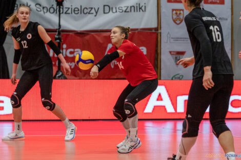 untitled-23_10_2022_amica_cup_volley_wrocław_dresdner-3213  Foto: lepszyPOZNAN.pl/Piotr Rychter