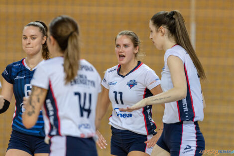 Enea Energetyk Poznań - LTS Legionovia Legionowo  Foto: lepszyPOZNAN.pl/Piotr Rychter