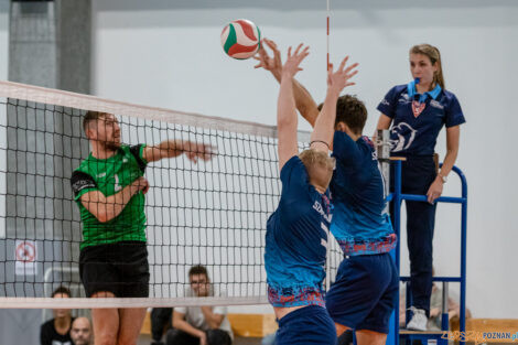 Tarnovia Volleyball - UKS Szamotulanin Szamotuły  Foto: lepszyPOZNAN.pl/Piotr Rychter