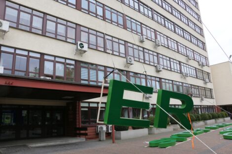 Neon Uniwersytet Przyrodniczy  Foto: UPP Poznań - materiały prasowe